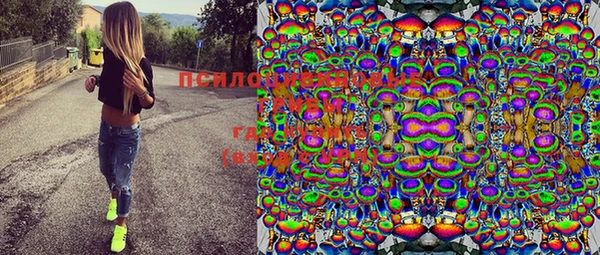 шишки Балабаново
