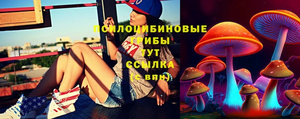шишки Балабаново
