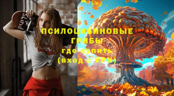 шишки Балабаново