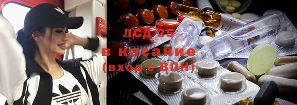 шишки Балабаново