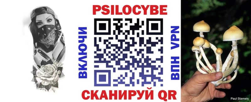 купить наркоту  Среднеколымск  Псилоцибиновые грибы ЛСД 